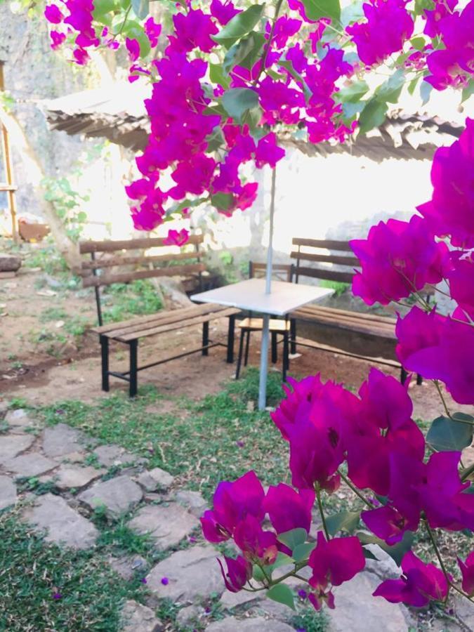 Kandy Ivy Banks Holiday Resort מראה חיצוני תמונה