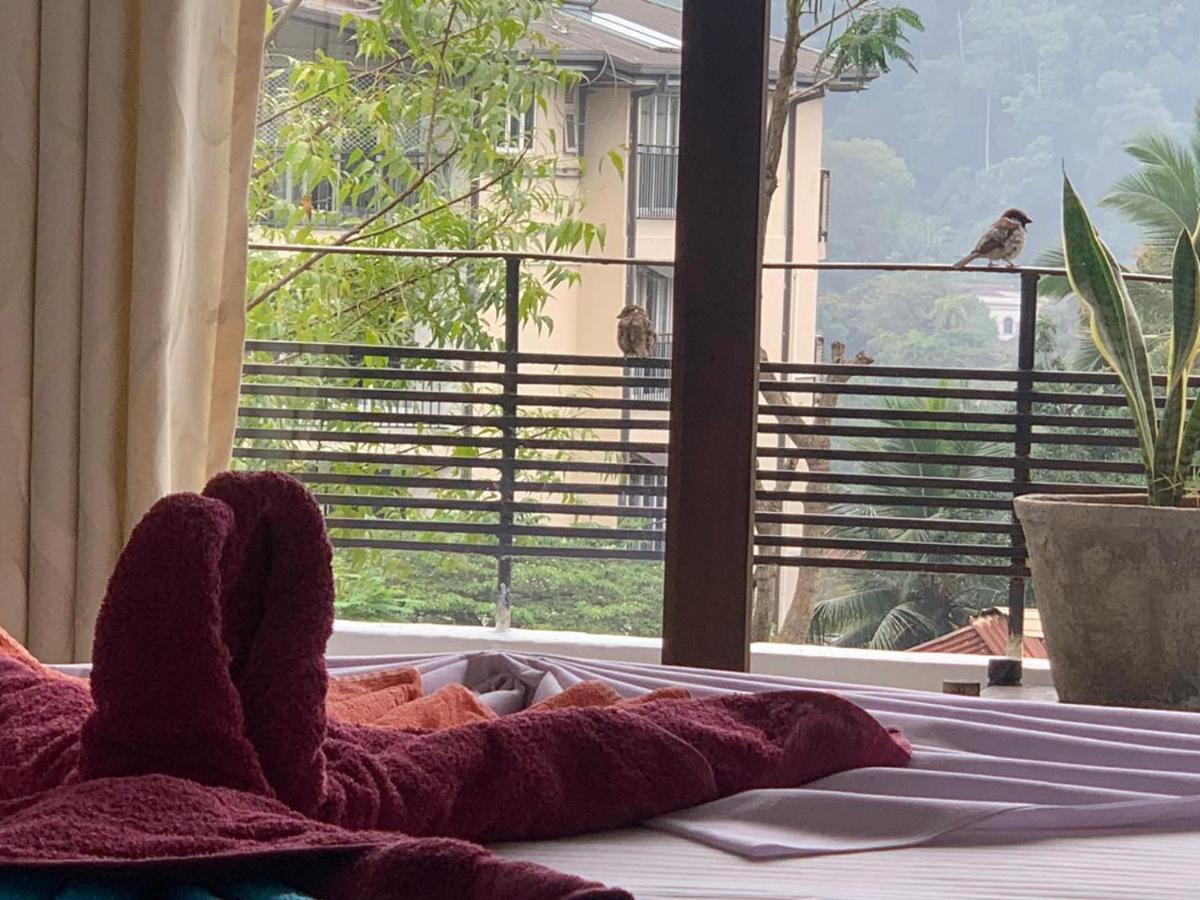 Kandy Ivy Banks Holiday Resort מראה חיצוני תמונה